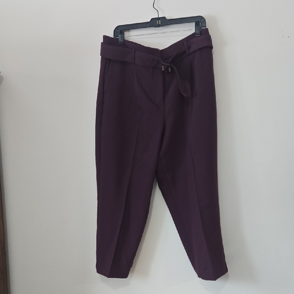 Ann Taylor Deep Purple Cropped Pants